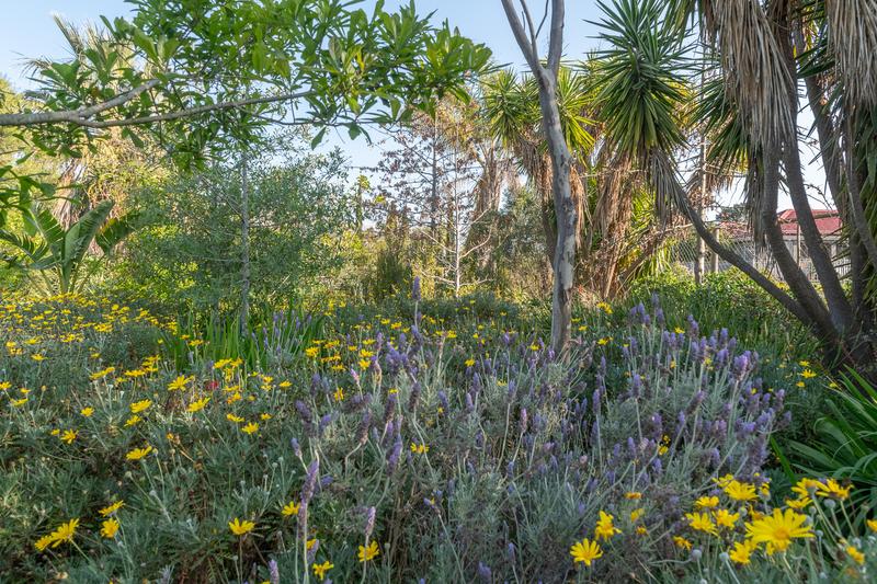 Commercial Property for Sale in Riviersonderend Western Cape